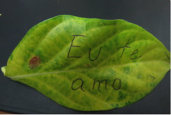 Valorizados pelo amor