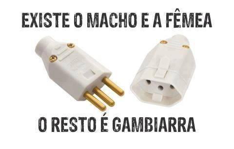 Existe Macho e a Fêmea, o resto é gambiarra